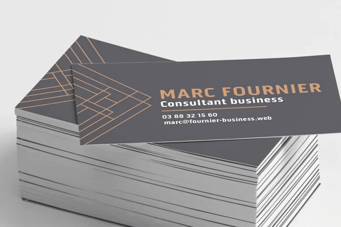 vistaprint lot cartes visite avis
