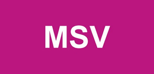 logo-monsitevoyance